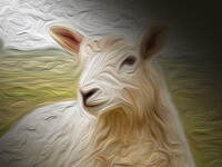 The Lamb - William Blake Free Poster
