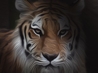 The Tyger Free Library New